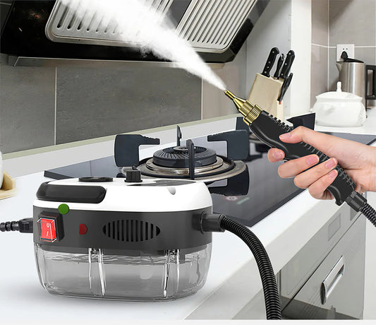 SteamClean Pro 2500W Handheld Steamer