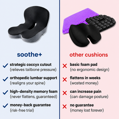 SpineEase™ Support Seat