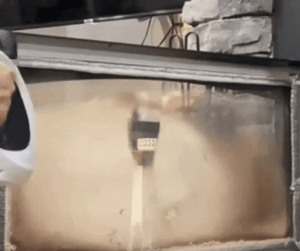 Pro Steam Cleaner