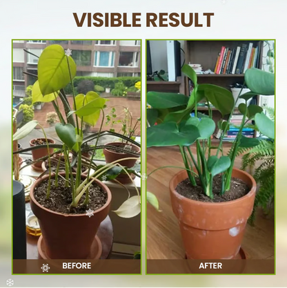 Soil Pro-Activator