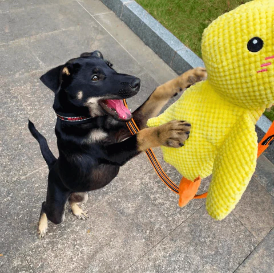 Calming Duck Plush Toy