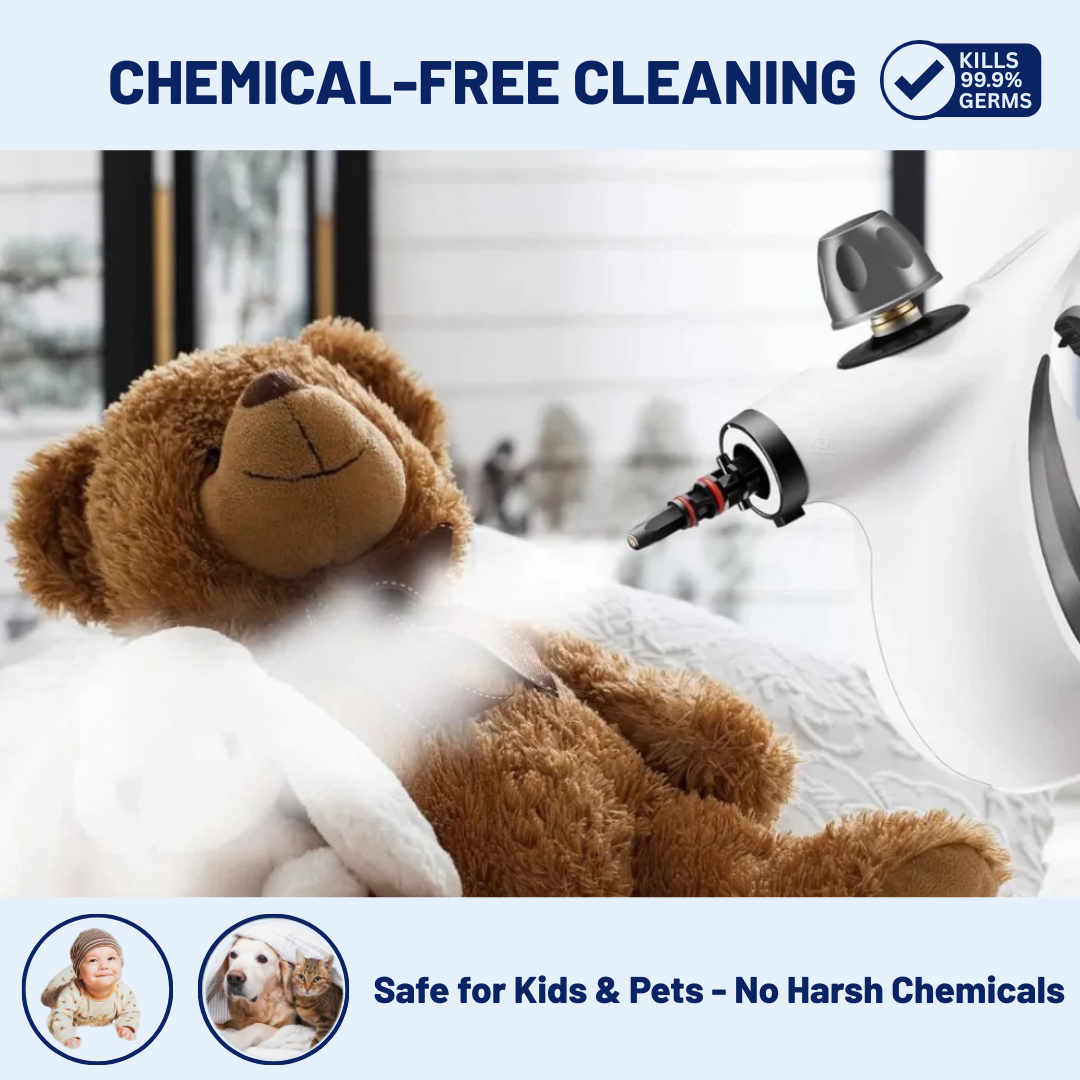 Pro Steam Cleaner